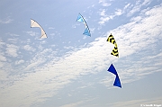 EUROCUP STACK 2011 CERVIA00309